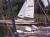 Bild zu Bootsverleih Kielhorn Steg N 21 am Steinhuder Meer